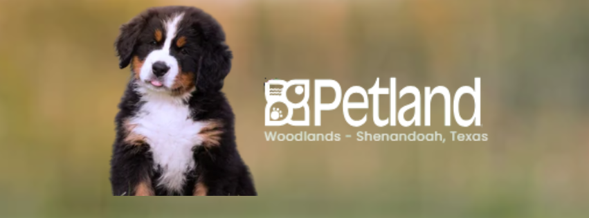 Business Banner