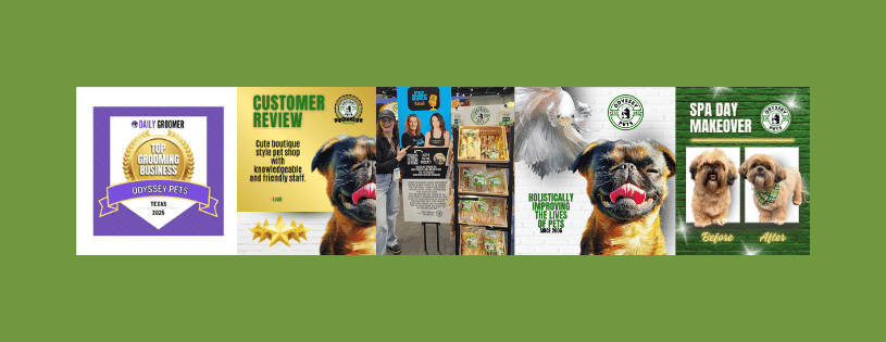 Business Banner